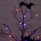 3ft. Pre-Lit Artificial Halloween Black Spooky Twig Tree with Bats and 100 Orange & Purple LED Lights